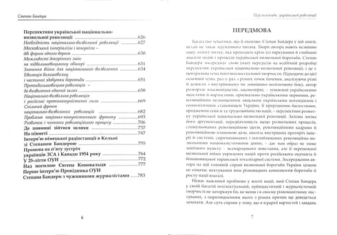 Prospects of the Ukrainian Revolution