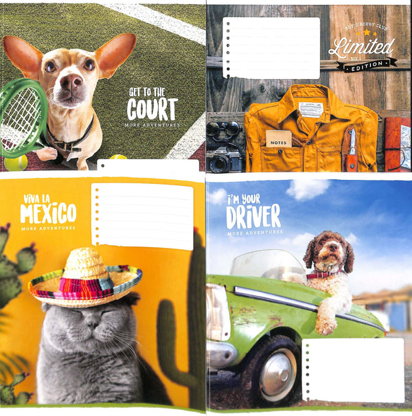 Зошит в лінію 18 арк. / різні мотиви на палітурці/