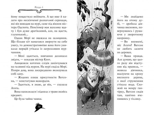 Агата Містері. Книга 17. Операція «Джунглі»