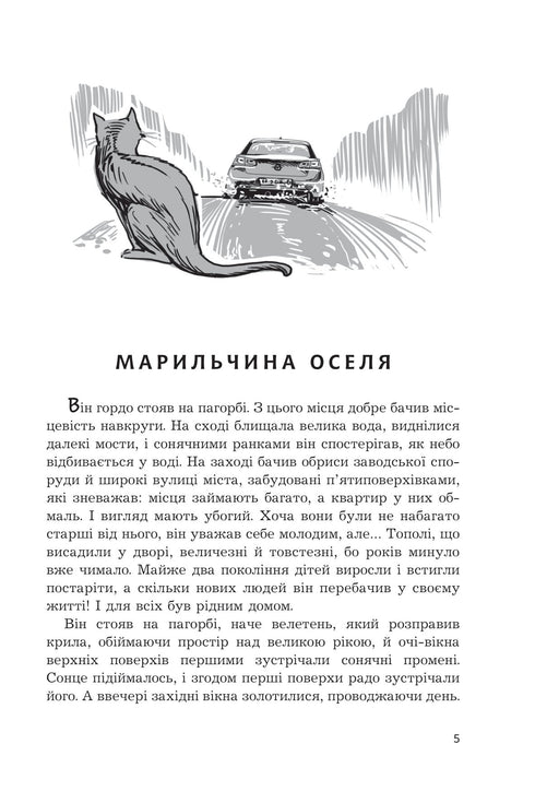 Do the Heavens See Cats: Stories - 9789661088251