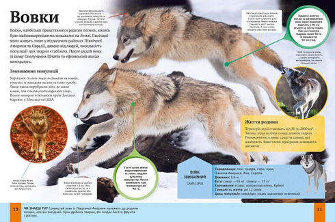 Children's Encyclopedia of Animals