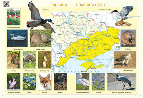 I explore the world. 3rd grade. Atlas - 9786170962454