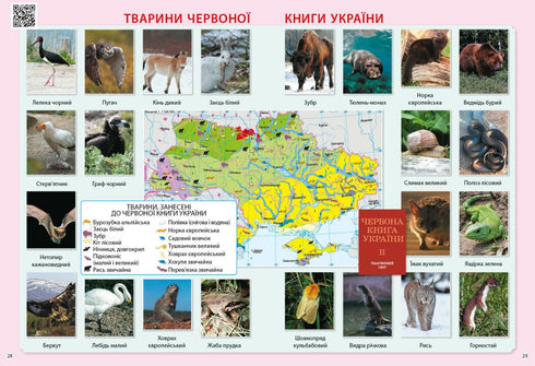 I explore the world. 3rd grade. Atlas - 9786170962454