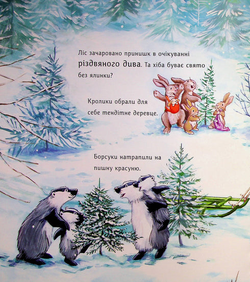 Tiny Christmas Tree for Little Bear