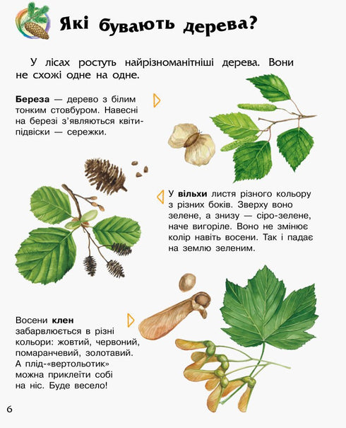 Енциклопедія дошкільника. Ліс