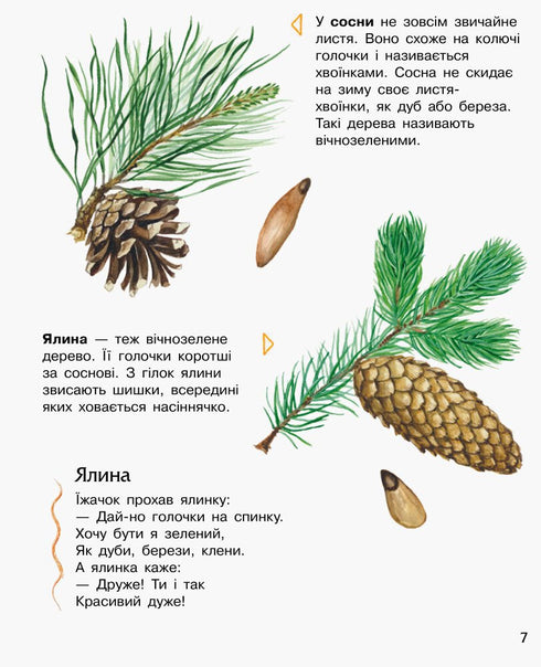 Енциклопедія дошкільника. Ліс