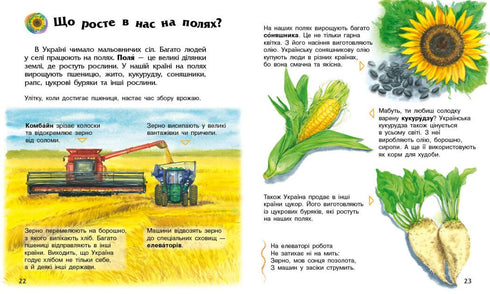 Preschooler's Encyclopedia. Ukraine - 9786170999948