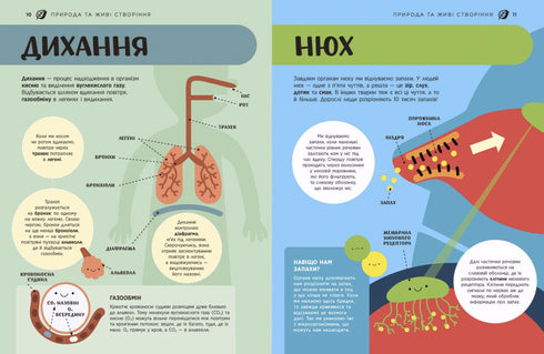 STEM-encyklopedi för barn. 100 begrepp för framtidens geni - 9786170992789