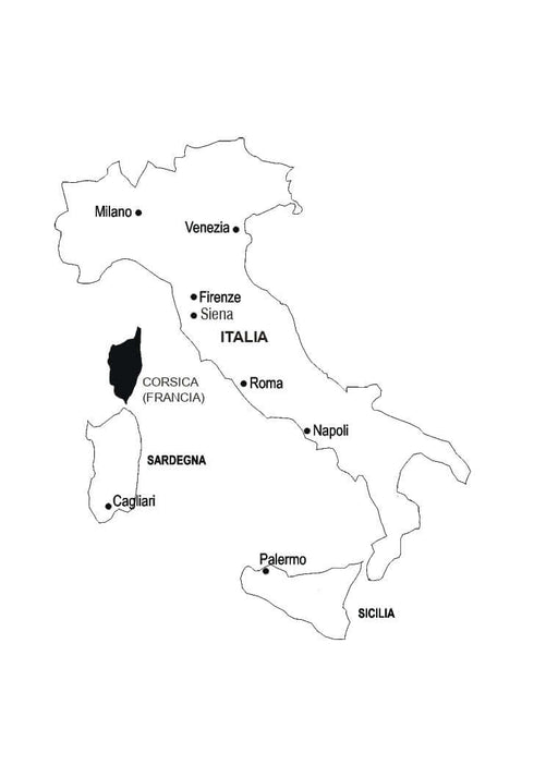 Italienska språket på 4 veckor. Intensiv italienska språkkurs med elektronisk ljudapplikation