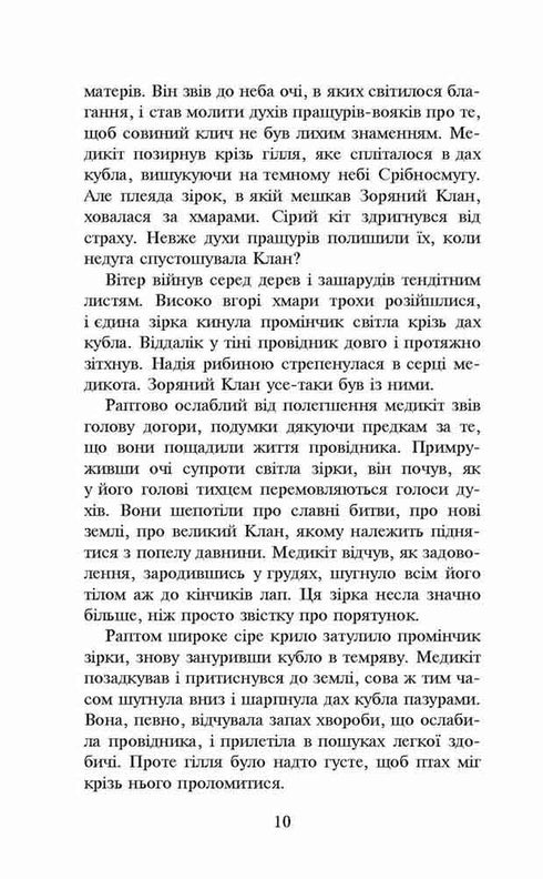 Коти-вояки. Книга 4. Здіймається буря