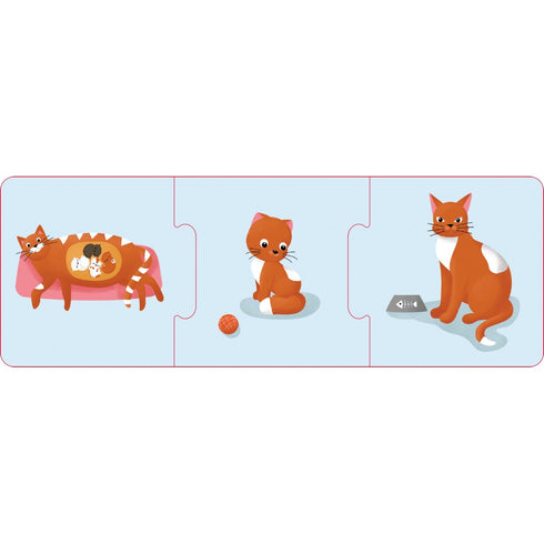 Logiska kedjor. Djur och växter. Utvecklingsstadier