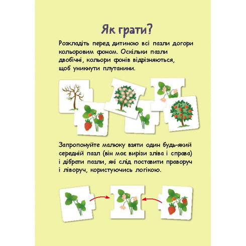 Logiska kedjor. Djur och växter. Utvecklingsstadier