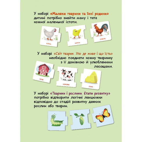 Logiska kedjor. Djur och växter. Utvecklingsstadier