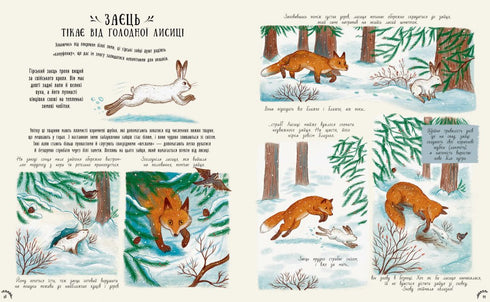 Små underverk i naturen - 9786170985606