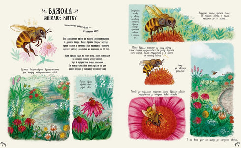 Små underverk i naturen - 9786170985606