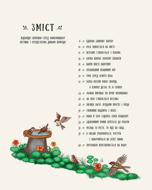 Små underverk i naturen - 9786170985606