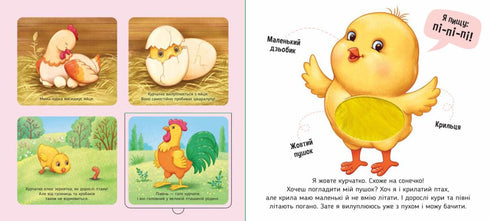 On the farm - 9789667511937