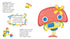 Turn around! What happened? The robot is transforming.