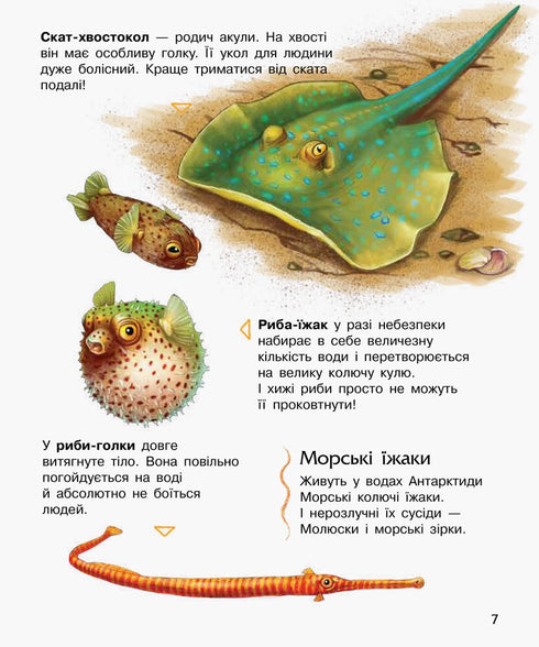 Океани та моря