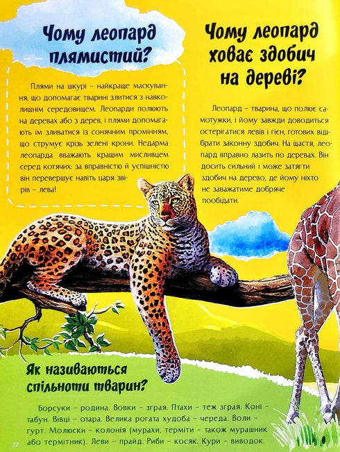 Om allt i världen. Svar på frågor