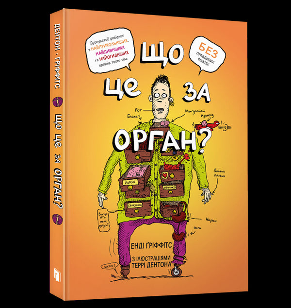 Vad är detta för organ? En dum guide till din kropps anatomi