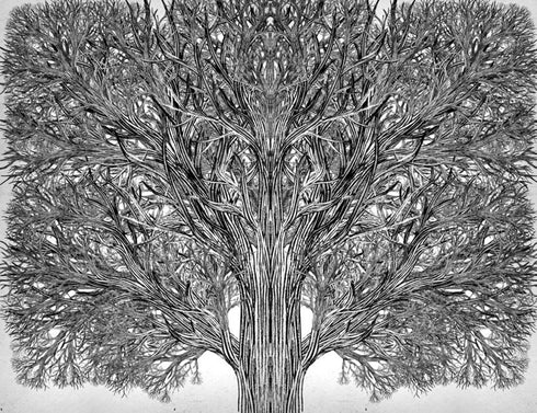 Школа Добра і Зла. Єдиний Істинний король. Книга 6