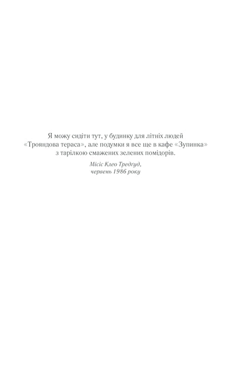 Fried green tomatoes in the cafe "Zupinka"