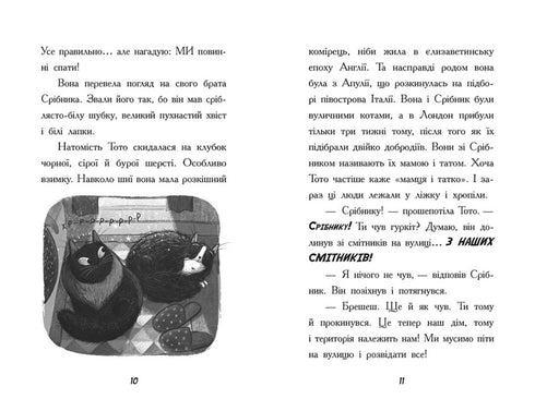 Till till. Ninja-katten och den stora ormen flyr. Bok 1