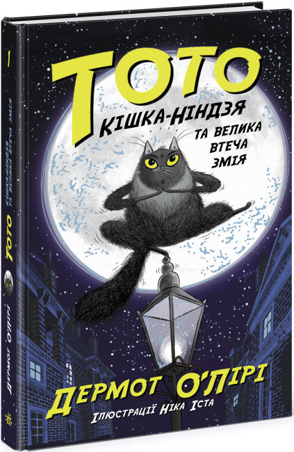 Till till. Ninja-katten och den stora ormen flyr. Bok 1
