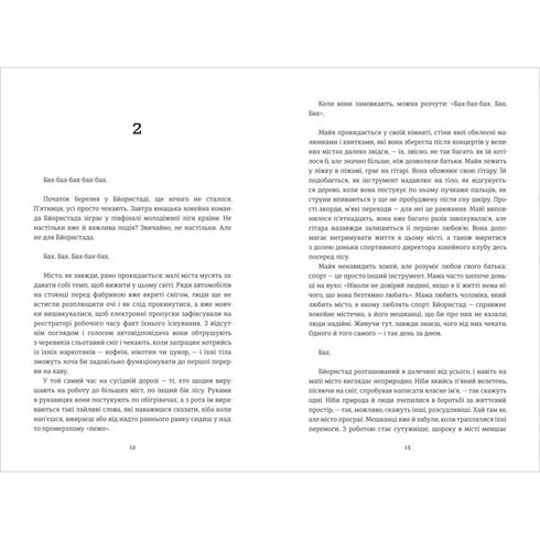 Ведмеже місто