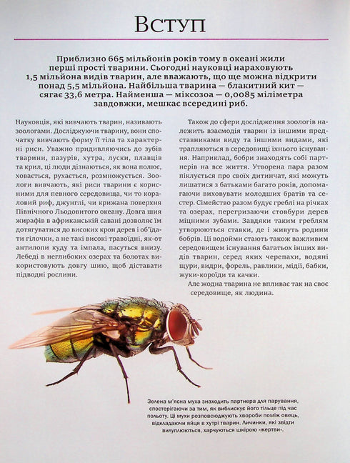 Велика книга тварин (закінчився тираж)