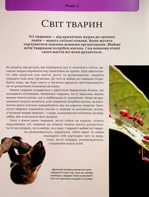 Велика книга тварин (закінчився тираж)