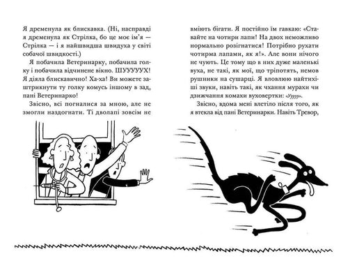 Викрадення! Гаряче літо Ракети на чотирьох лапах