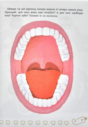 Baby teeth. All about caring for your teeth