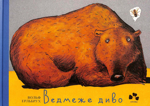 Björnen är ett mirakel