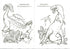 Dinosauriernas planet. Målaralbum. Del 2