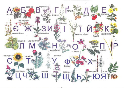 Буквар. Підручник для 1 класу