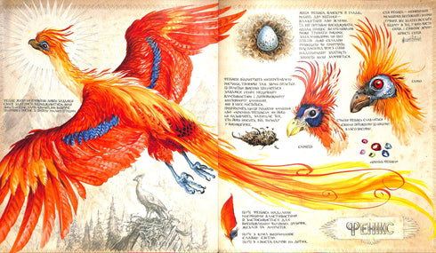 Harry Potter og Hemmelighedernes Kammer. Stor illustreret udgave. Bog 2 (ukrainsk udgave)