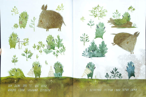 Julgrans födelsedag