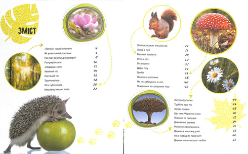 The World and Its Mysteries: The Life of the Forest