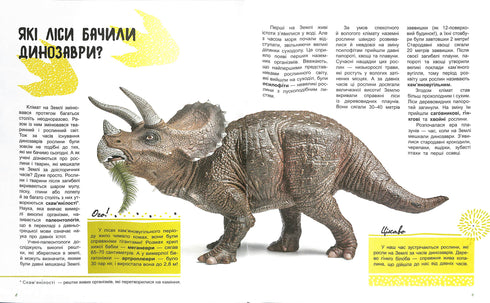 The World and Its Mysteries: The Life of the Forest