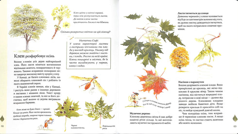 Expedition med myran Sophie. Vi utforskar naturen omkring oss