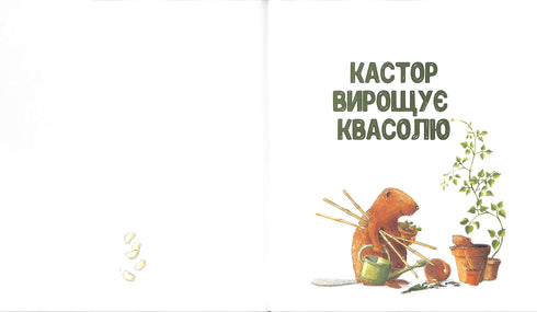 "Castor - a master of all trades: tells about instruments and teaches how to use them. 7 stories in 1 book"