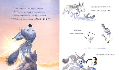 The wolf is looking for a way to the pack.