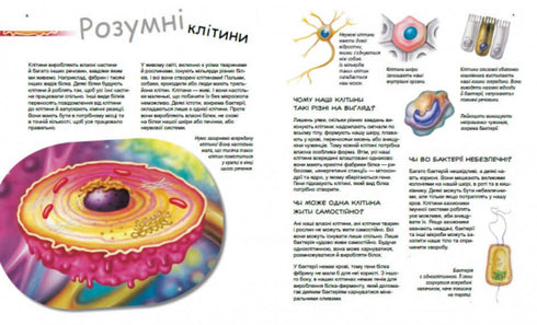 Геніальні гени