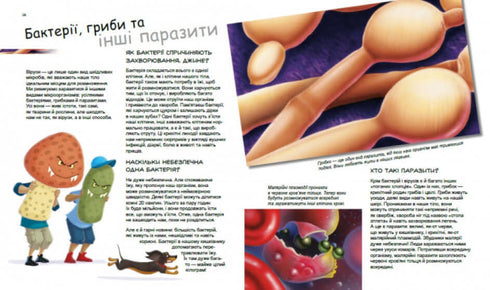 Hjältar och skurkar i vår kropp