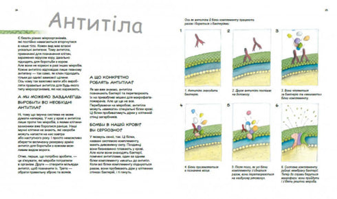 Hjältar och skurkar i vår kropp