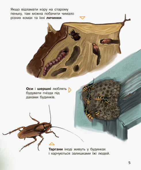 Preschooler's Encyclopedia. Insects (print run ended)