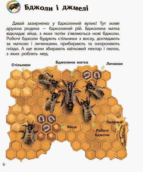 Preschooler's Encyclopedia. Insects (print run ended)