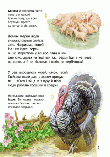 Encyclopedia of Preschoolers. Animals